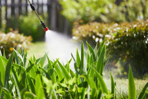 24/7 Emergency Termite Control experts in LaGrange, GA